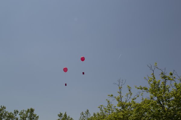 Tag des Einblicks 10