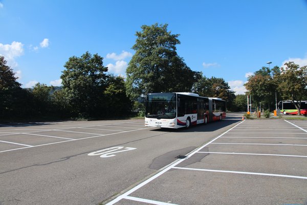 Feel the Bus 2014 - 8