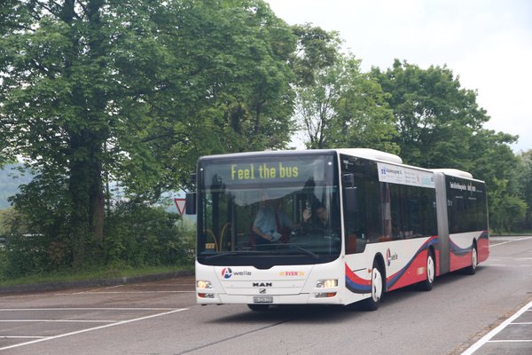 feel_the_bus 2015